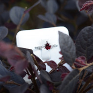 Chapter One-Garnet Classic Red Antique Droplet Ring