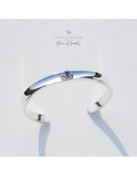 Chapter Ten-Stone of Gravity Bangle