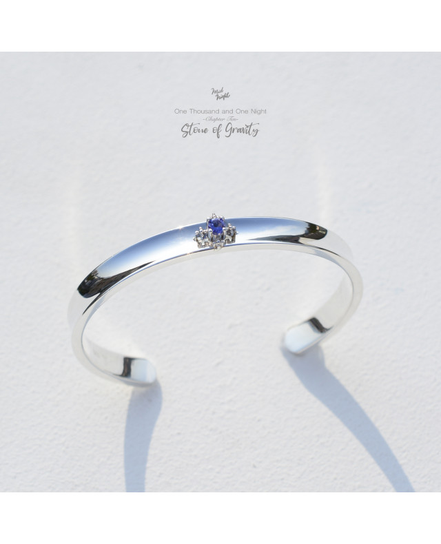 Chapter Ten-Stone of Gravity Bangle