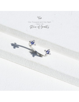 Chapter Ten-Stone of Gravity Little Love Ring