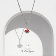 January Birthstone-Garnet Sparkle Star Necklace