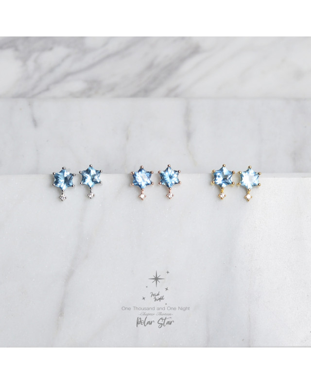 Chapter Thirteen-Polor Star Earrings