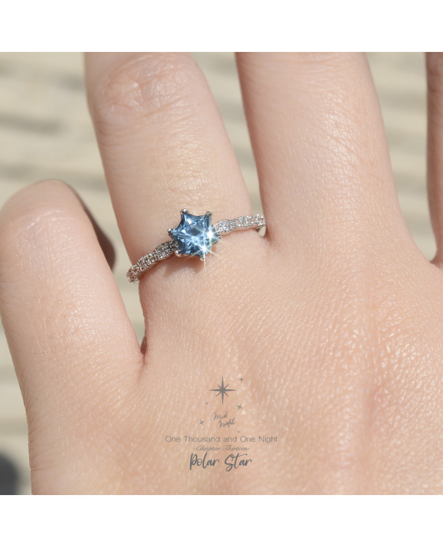 Chapter Thirteen-Polar Star Antique Ring